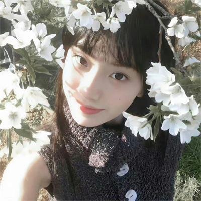 一袋锤子
